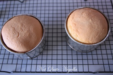pink victorian sponge