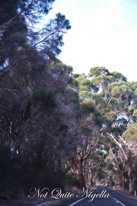 kangaroo island southern ocean lodge