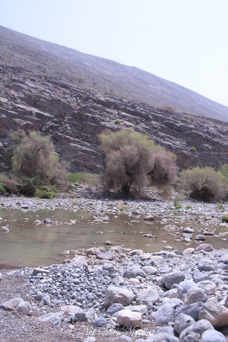 nizwa oman
