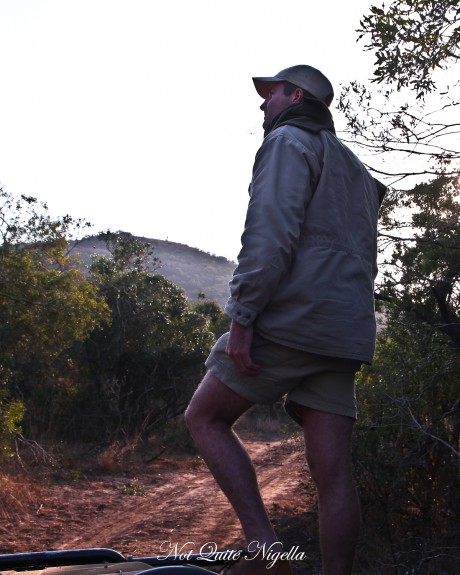 phinda south africa