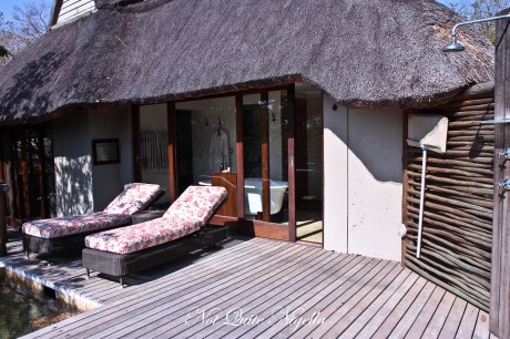 phinda south africa