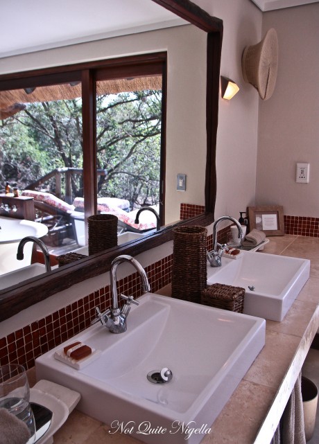 phinda south africa