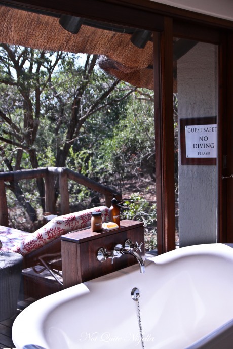phinda south africa