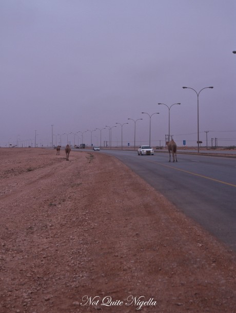 salalah oman