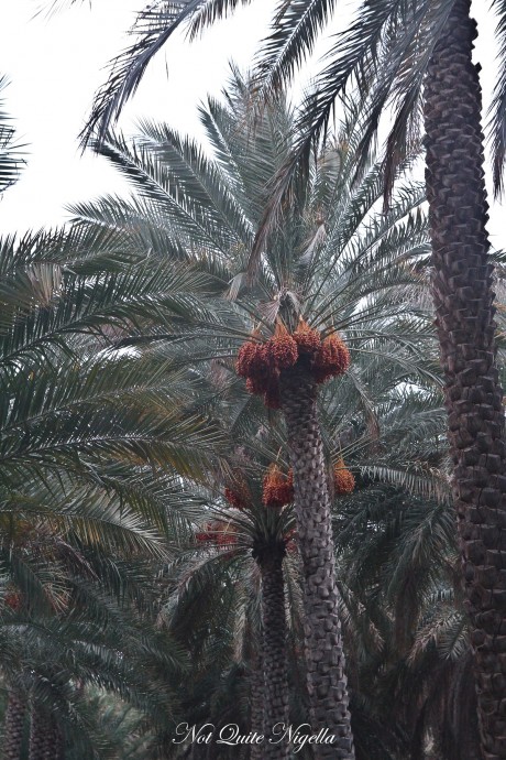 the view hail al shas oman