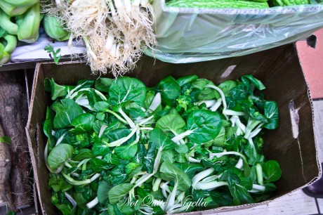 burwood food tour