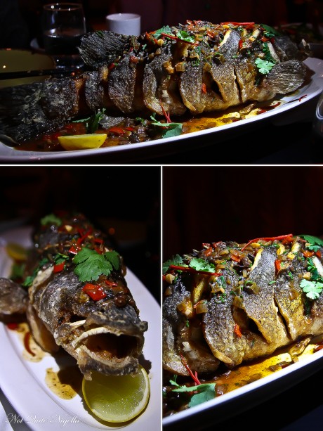 dragon-cod-china-lane-2