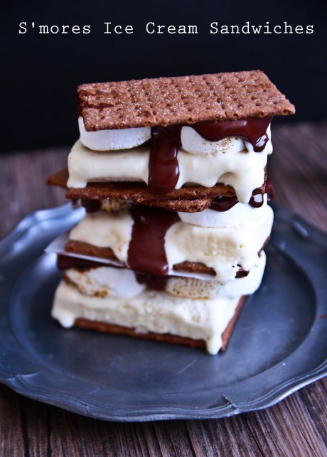s\'mores ice cream sandwich