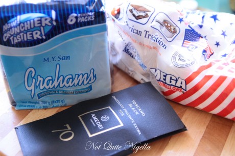 s\'mores ice cream sandwich
