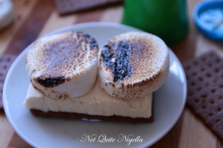 s\'mores ice cream sandwich