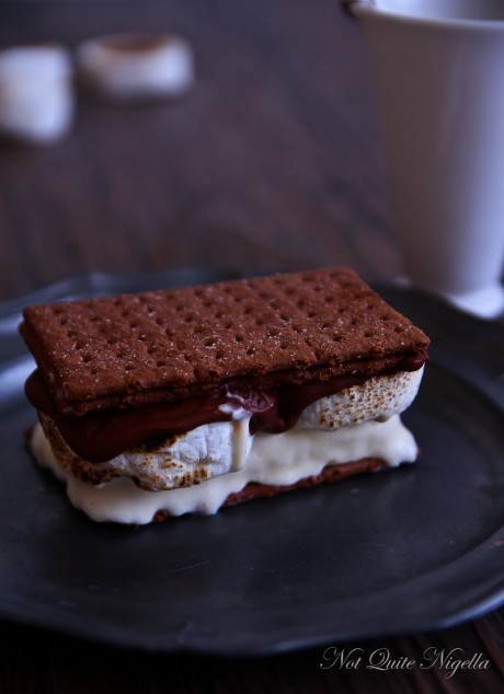 s\'mores ice cream sandwich