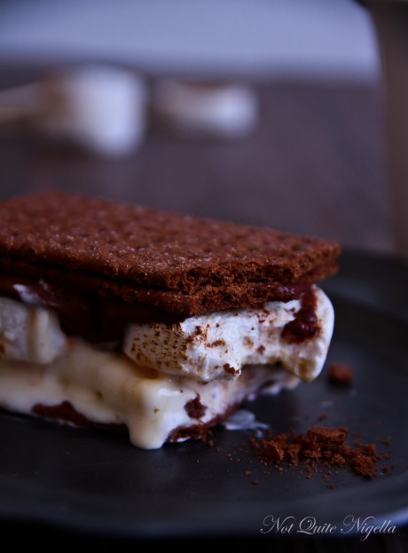 s\'mores ice cream sandwich