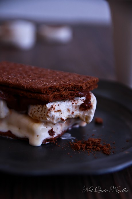 s\'mores ice cream sandwich