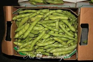 justin north a day in the life broad beans