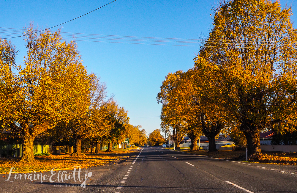 Albury Things To Do Eat Not Quite Nigella