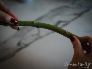 Asparagus Wrapped In Bacon