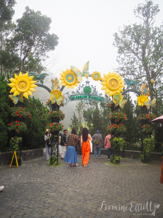 Ba Na Hills Guide