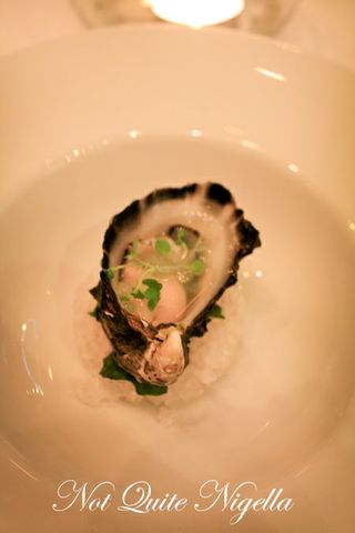 becasse degusation oyster