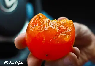 Bel Fiore Dural