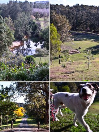 Beguiling Bellingen, NSW