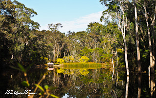 Billabong Retreat