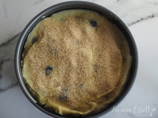 Blueberry Cake recipe Moist