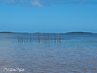 Bougna New Caledonia