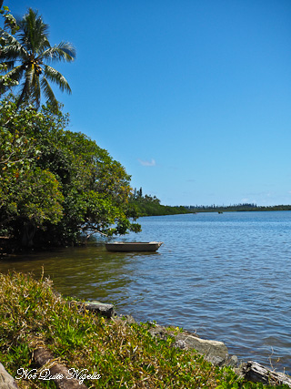 Bougna New Caledonia