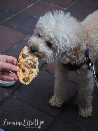 Brooklyn Crispy, Potts Point