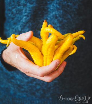 Buddha's Hand Recipe Limoncello