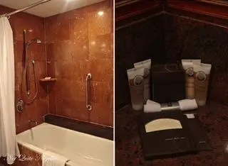 a-pullman-bathroom