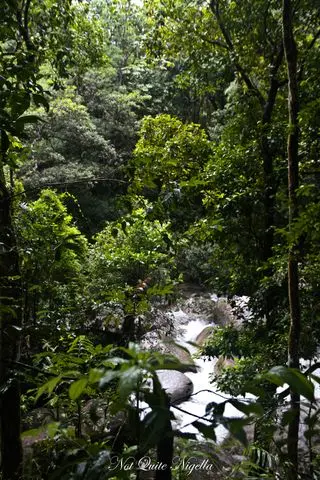 cairns food mossman gorge walk-11