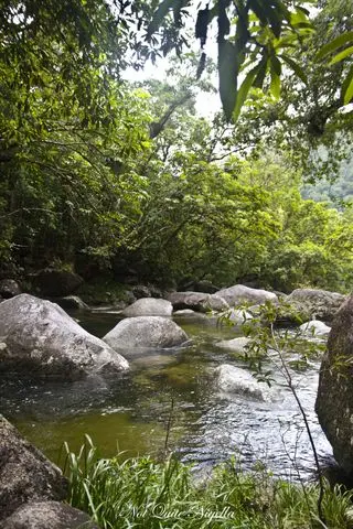 cairns food mossman gorge walk-13