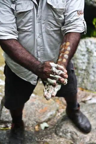 cairns food mossman gorge walk-14