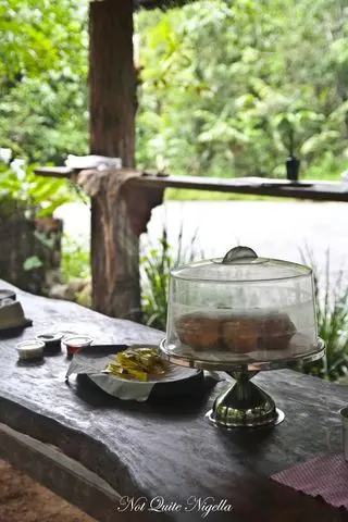 cairns food mossman gorge walk-15