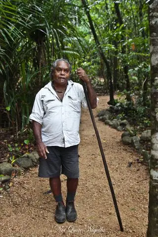 cairns food mossman gorge walk-3