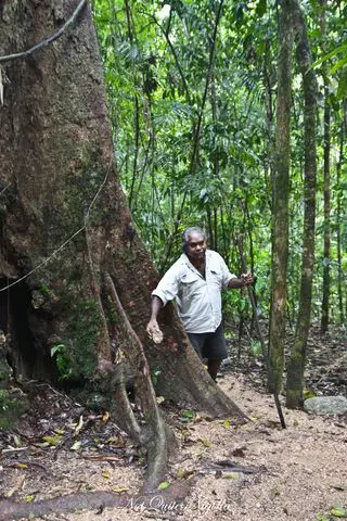 cairns food mossman gorge walk-5