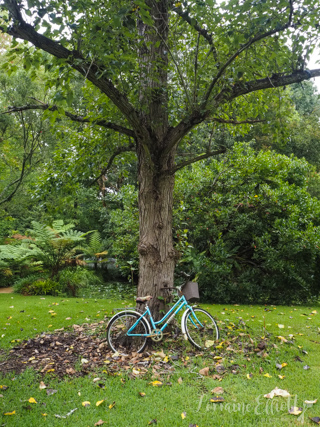 Central Coast NSW Australia Restaurants Hotel