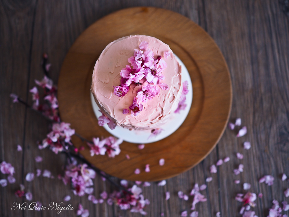 Cherry Blossom Checkerboard Cake Not Quite Nigella