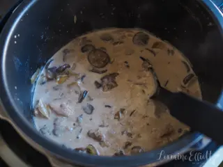 Chicken Stroganoff recipe Slow Cooker Instant Pot Pressure Cooker