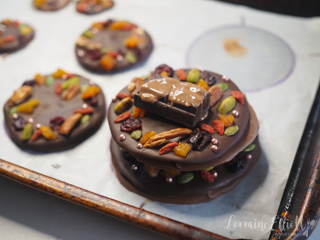 Chocolate Christmas Tree Mendiant