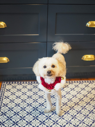 Christmas Salad Snowman Wreath