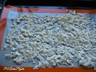 Coconut Brittle
