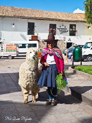 Cusco Food Tour Peru