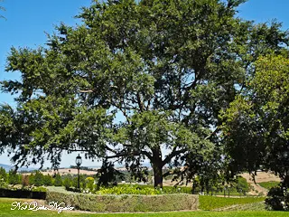 De Bortoli Winery Yarra Valley