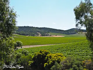 De Bortoli Winery Yarra Valley