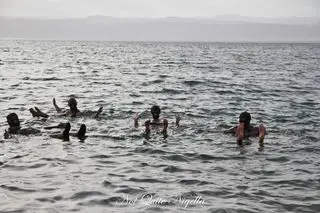 dead sea jordan-35