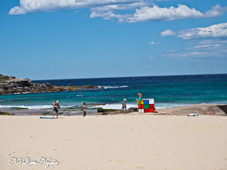 El Toro Maroubra Beach