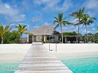 Finolhu Maldives Crab Shack