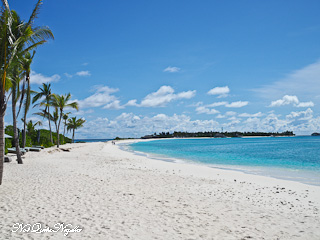 Finolhu Maldives Crab Shack